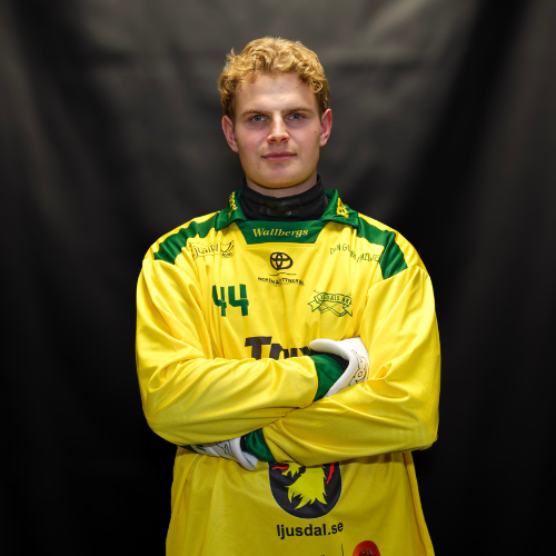 Alexander Söderlund